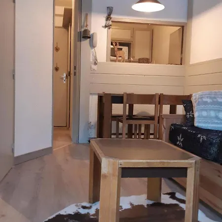 Apartment - 2 Pieces, Casier A Ski, Pres Des Bus - Fr-1-517-62 Chamonix