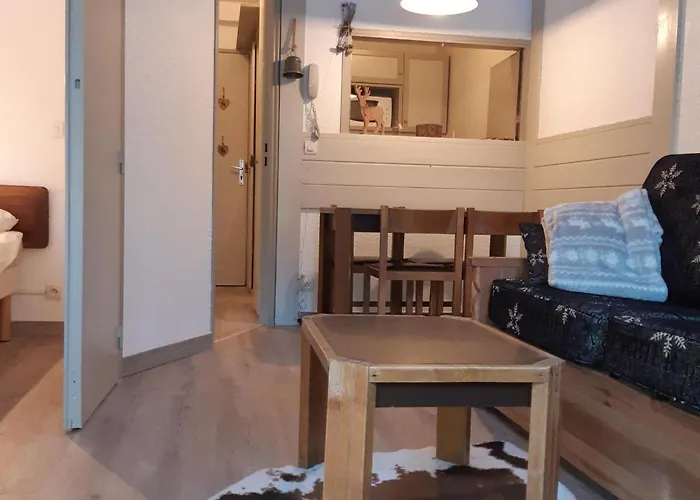 Apartment - 2 Pieces, Casier A Ski, Pres Des Bus - Fr-1-517-62 Chamonix